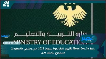 رابط Moed.Gov.Sy نتائج البكالوريا سوريا 2025 ادبي وعلمي بالخطوات استخرج نتجتك الان
